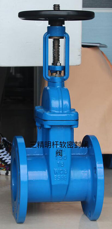 明桿軟密封閘閥