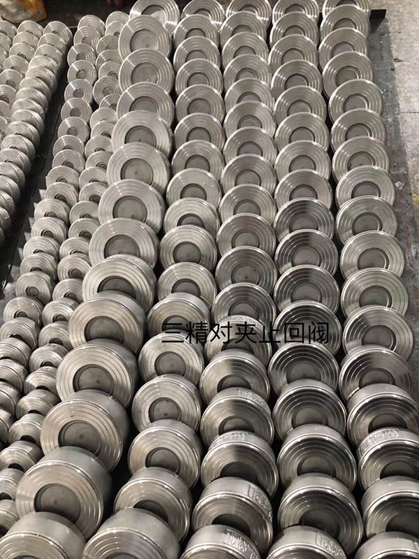 對夾止回閥