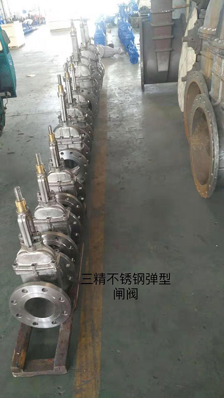 不銹鋼彈型閘閥
